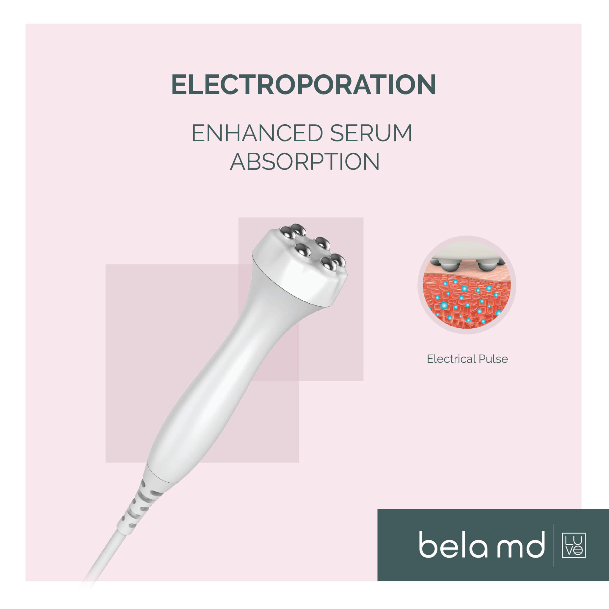 Electroporation